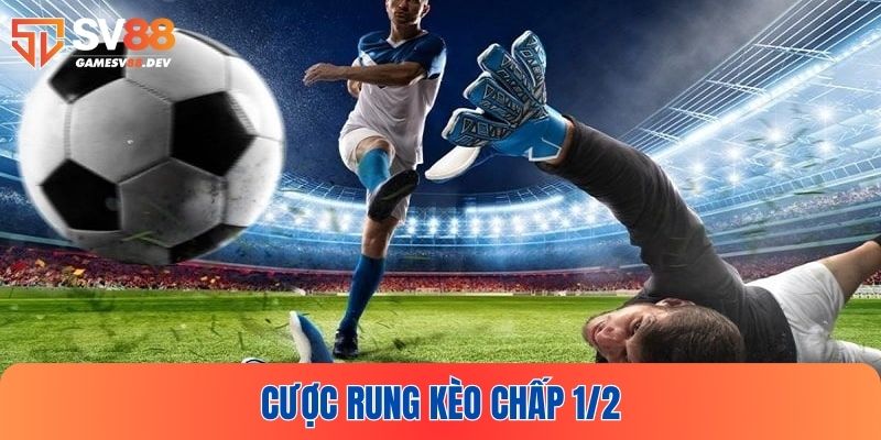 Chinh phục kèo chấp 1/2 dễ dàng bằng cách cược rung trong trận