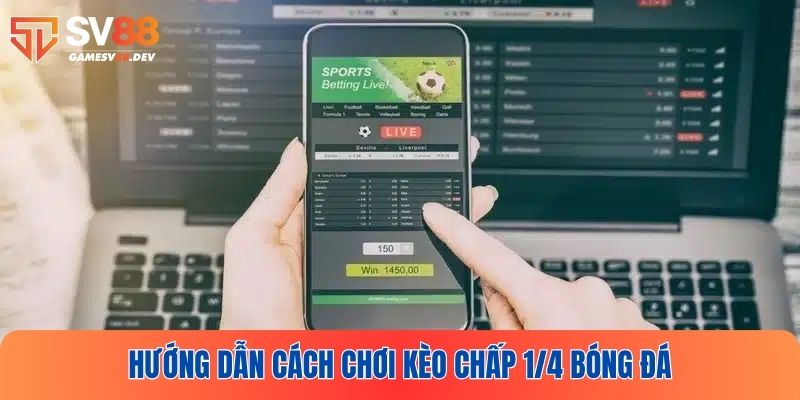 Giải thích cách chơi kèo chấp 1/4 là gì cho người mới
