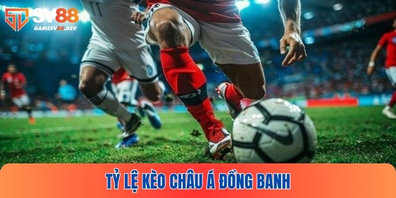 Kèo Châu Á đồng banh trở thành cơ hội cá cược đầy tiềm năng