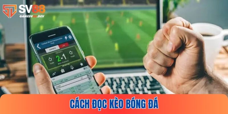 Nắm vững cách đọc kèo bóng đá để sẵn sàng tham gia cá cược