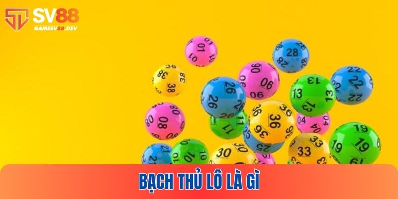 Bạch Thủ Lô Là Gì