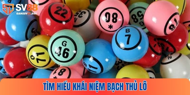 Khái niệm bạch thủ lô dành cho người mới